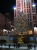 The Christmas Tree of New York!!